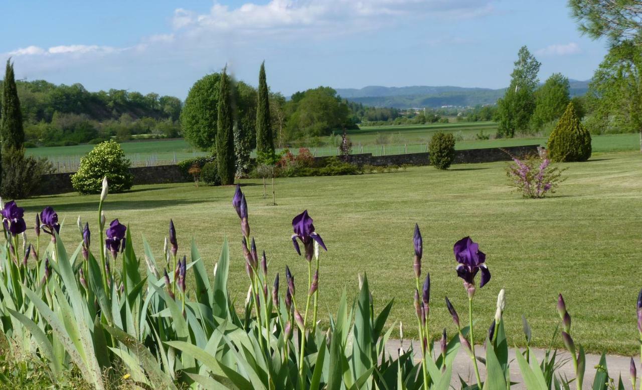Gites Chateau De La Selve กรอส์พิแอร์ ภายนอก รูปภาพ