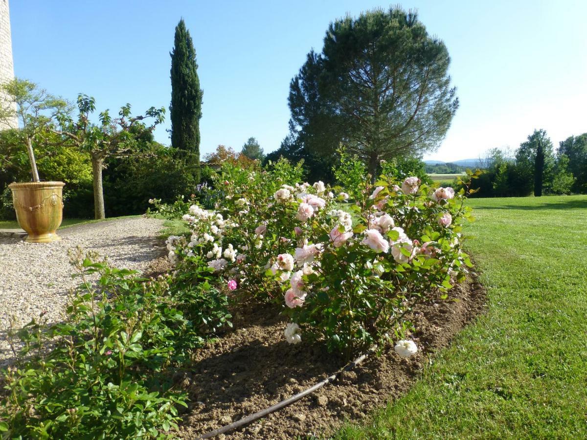 Gites Chateau De La Selve กรอส์พิแอร์ ภายนอก รูปภาพ