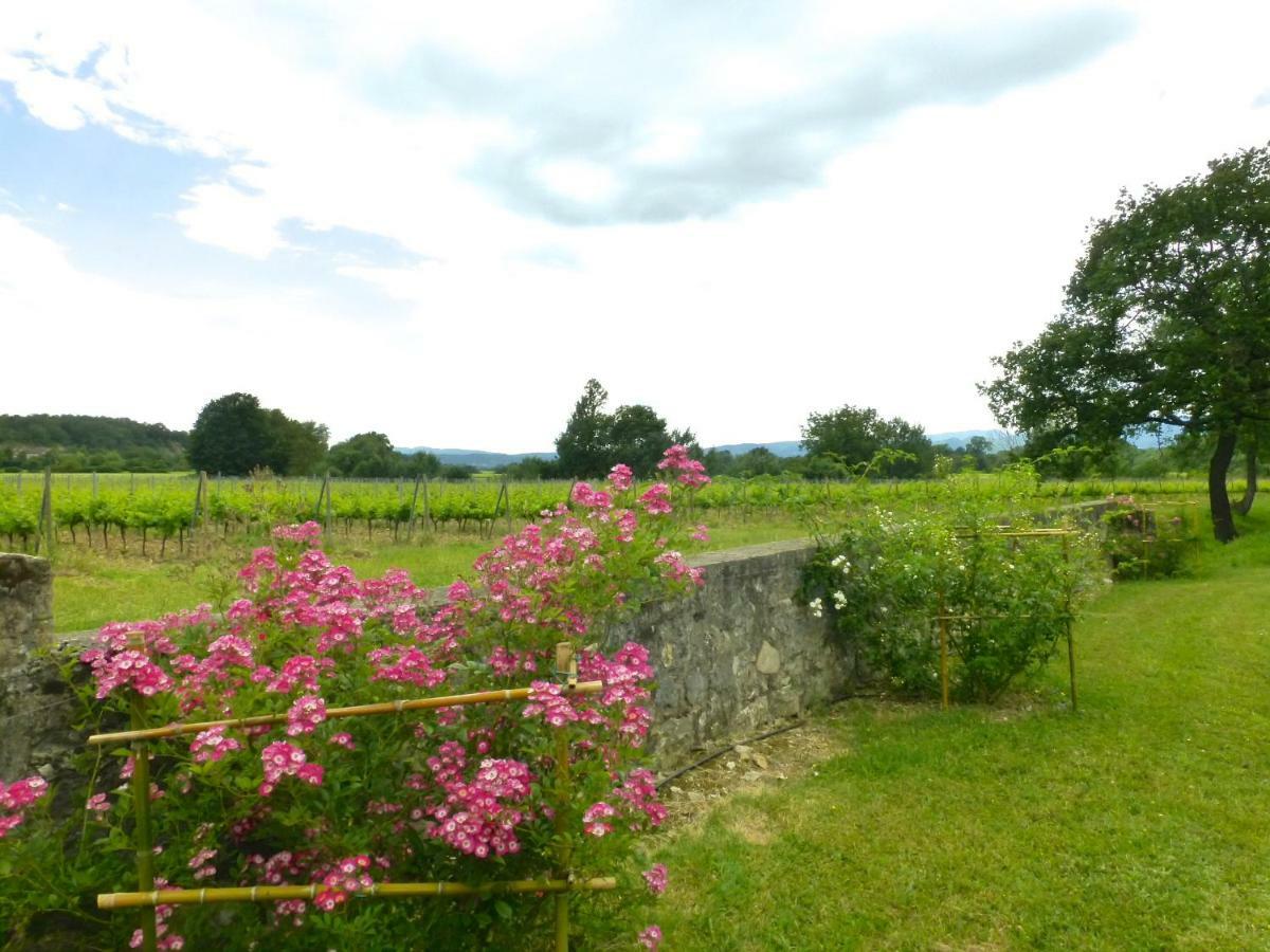 Gites Chateau De La Selve กรอส์พิแอร์ ภายนอก รูปภาพ